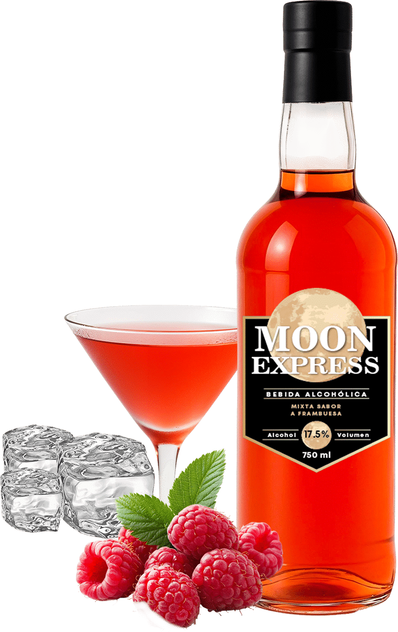 moon express presentacion